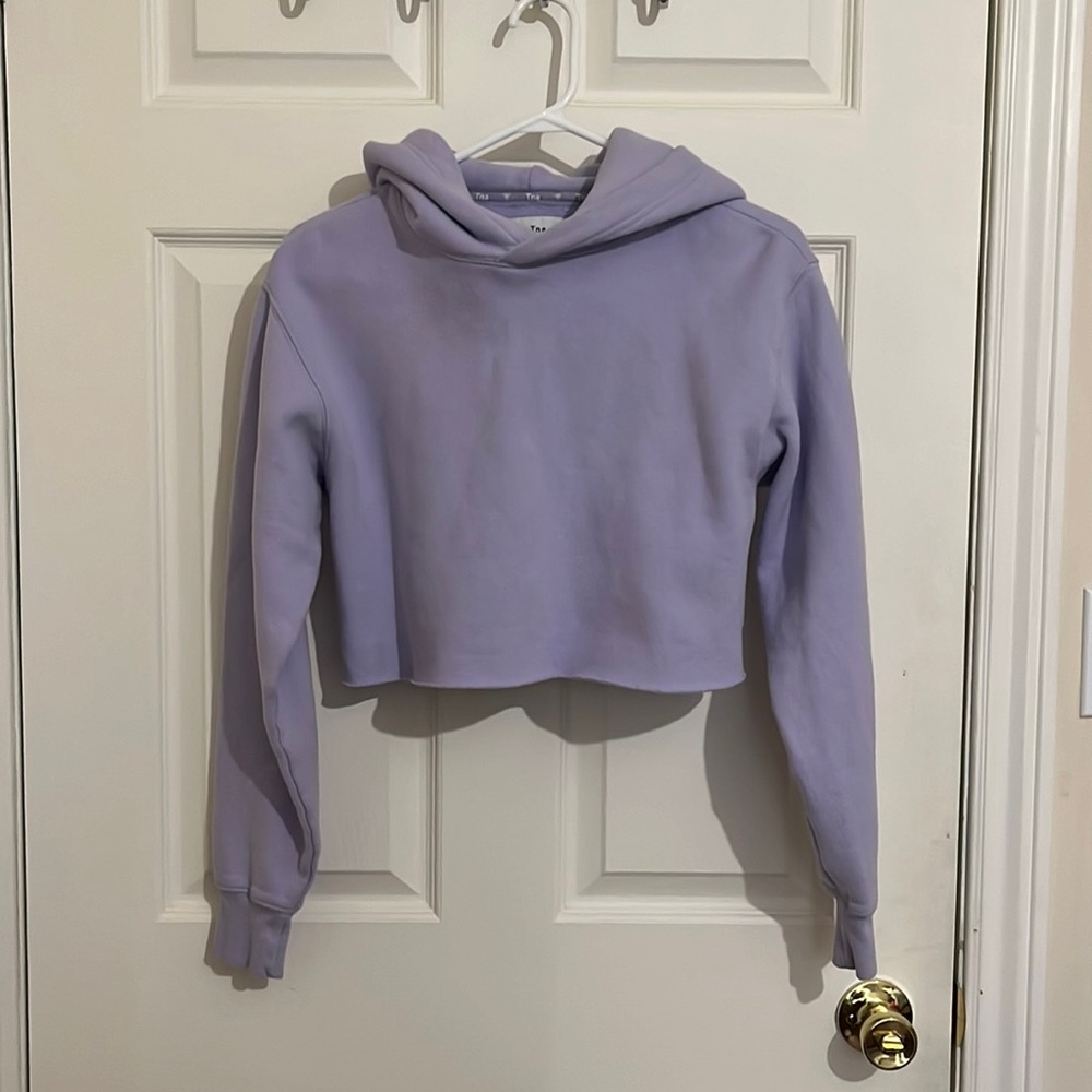 Aritzia‎ Tna Cropped Purple Hoody